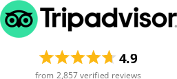 TripAdvisor reviews rating